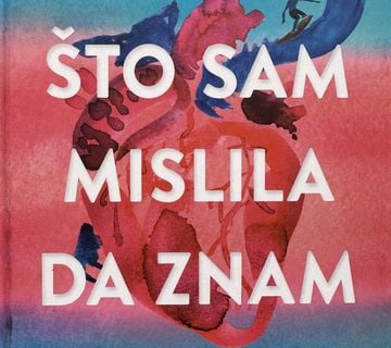 SVE ŠTO SAM MISLILA DA ZNAM - SHANNON TAKAOKA - cover